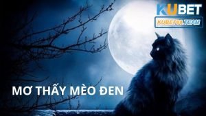 Mơ thấy mèo đen và 99+ con số may mắn ẩn chứa trong giấc mơ này